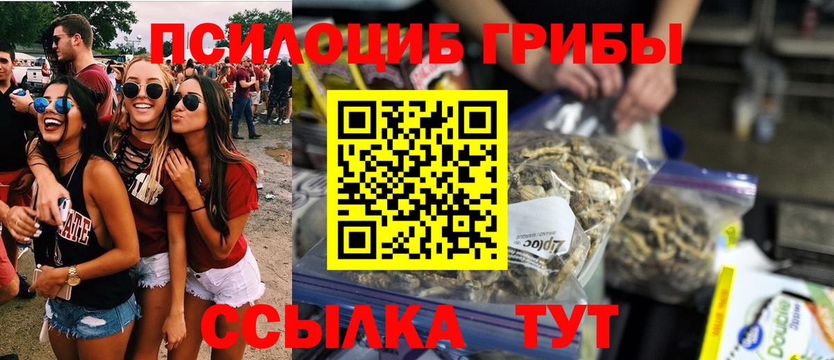 Псилоцибиновые грибы ЛСД Дивногорск