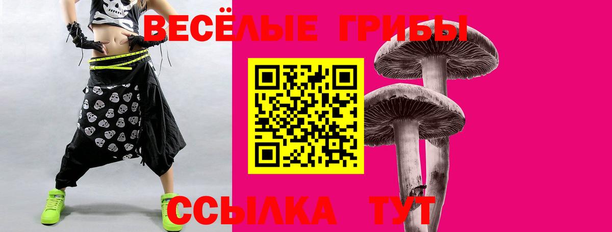 Псилоцибиновые грибы мицелий  Вход с VPN  Дивногорск 